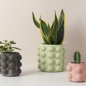 以下が含まれることがあります： テクスチャのある丸いプランターに入った3つの鉢植えの植物。プランターはグレー、グリーン、ピンク。植物は、サンスベリア、ジャデプラント、サボテンです。