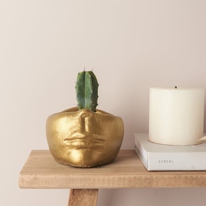 May include: A gold face-shaped planter with a small cactus plant growing out of the top. The planter is sitting on a wooden shelf with a white candle and a book titled "Cereal London" on the shelf.