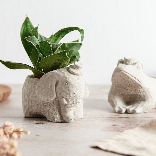 3D Elephant Plant Pot, Concrete Elephant and Frog plant pot, perfect indoor planter perfect for succulents