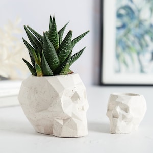May include: A white ceramic skull planter with a geometric design, holding a small green succulent plant. A second smaller white skull planter is also visible in the background.