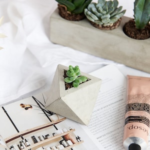 Może przedstawiać: Zestaw czterech betonowych doniczek o geometrycznych kształtach, każda z inną rośliną sukulentową. Doniczki są ułożone w rzędzie na białej powierzchni.