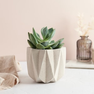 Minimale betonnen plantenpot, grote betonnen plantenpot met textuur, perfect voor cactussen of vetplanten, geweldig kantoorinrichting aan huis