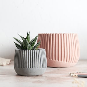 Puede incluir: Dos macetas de hormigón con un diseño acanalado. La maceta más pequeña es gris y contiene una pequeña planta suculenta verde. La maceta más grande es rosa.