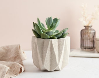Minimal Concrete Plant Pot || Succulent Planter || Indoor Concrete Planter || Cactus Plant Gift || Housewarming Gift || Air Plant Holder
