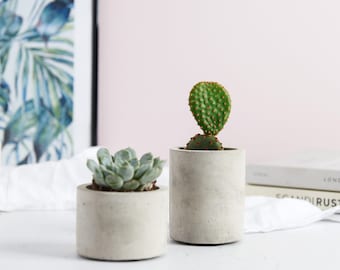 Concrete Plant Pot || Indoor Concrete Cactus Plant Pot || Succulent Planter || Indoor Concrete Planter || Cactus Plant Gift