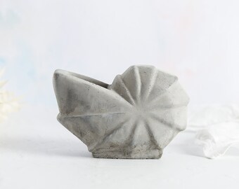 Concrete Ammonite Succulent Planter: Fossil Decor, Handmade