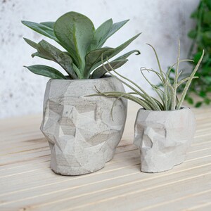 Geometric Skull Concrete Plant Pots, two sizes and multiple colours available image 3