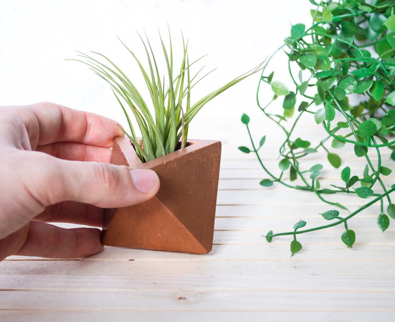 Geometric Triangular indoor Concrete Air Plant Holder Holder. Available in several concrete colours image 9