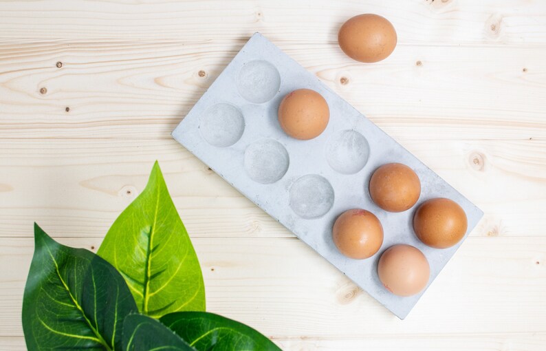 Puede incluir: Un porta huevos de hormig&oacute;n gris con seis huevos marrones y un espacio vac&iacute;o. El porta huevos est&aacute; sobre una superficie de madera clara con una planta de hojas verdes en la esquina inferior izquierda.