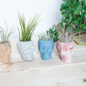 Geometric Skull Concrete Plant Pots, two sizes and multiple colours available image 10