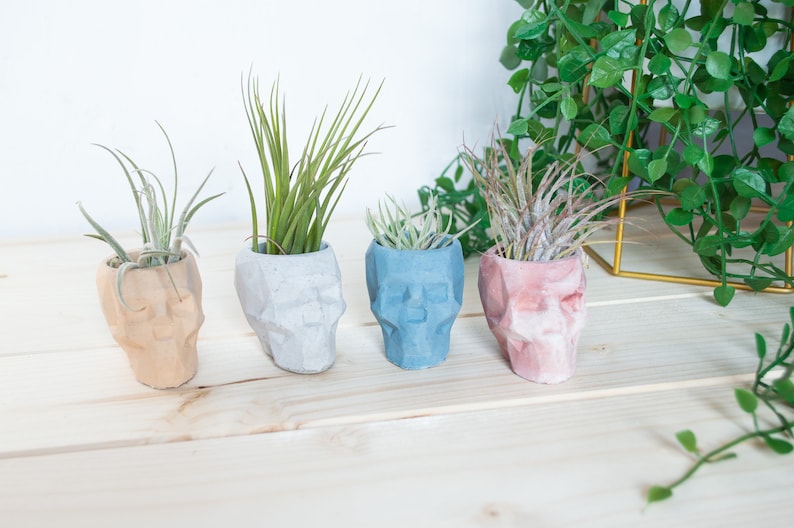 Geometric Skull Concrete Plant Pots, two sizes and multiple colours available image 10