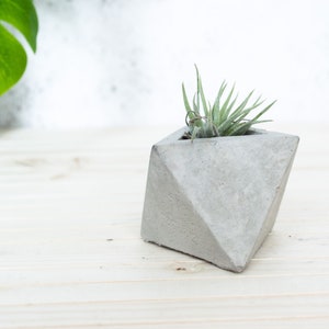 Geometric Triangular indoor Concrete Air Plant Holder Holder. Available in several concrete colours image 6