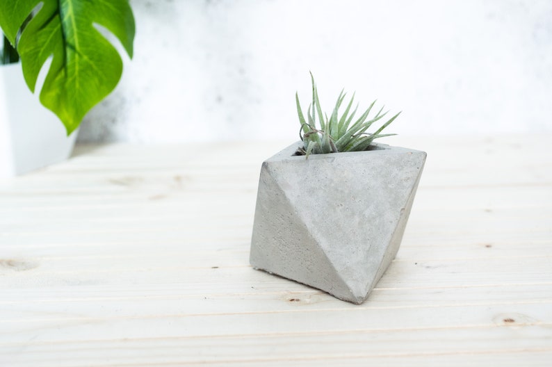 Geometric Triangular indoor Concrete Air Plant Holder Holder. Available in several concrete colours image 6