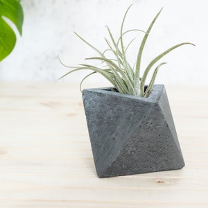 Geometric Triangular indoor Concrete Air Plant Holder Holder. Available in several concrete colours image 5