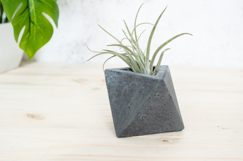 Geometric Triangular indoor Concrete Air Plant Holder Holder. Available in several concrete colours image 5