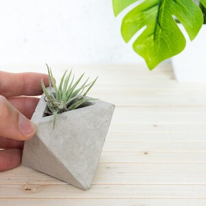 Geometric Triangular indoor Concrete Air Plant Holder Holder. Available in several concrete colours image 8