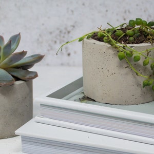 Concrete Plant Pot Indoor Concrete Cactus Plant Pot Succulent Planter Indoor Concrete Planter Cactus Plant Gift image 9