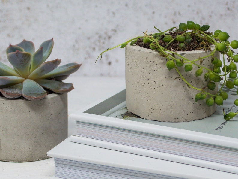 Concrete Plant Pot Indoor Concrete Cactus Plant Pot Succulent Planter Indoor Concrete Planter Cactus Plant Gift image 9