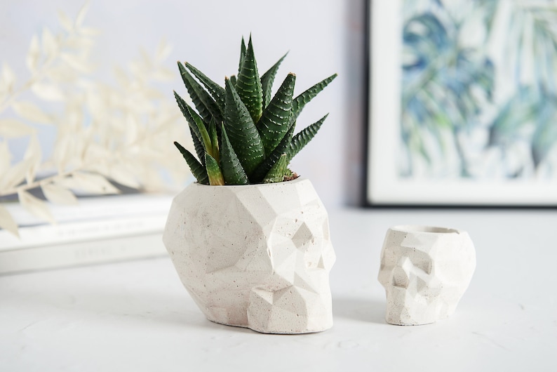 Geometric Skull Concrete Plant Pots, two sizes and multiple colours available image 1