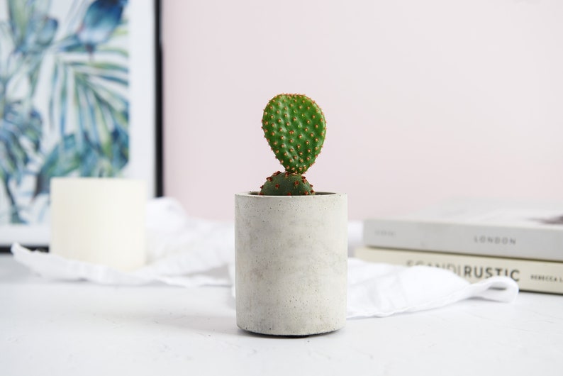 Concrete Plant Pot Indoor Concrete Cactus Plant Pot Succulent Planter Indoor Concrete Planter Cactus Plant Gift Tall Pot