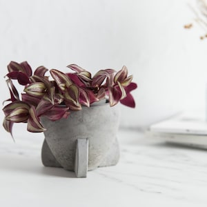 Maceta de hormigón con forma de cohete, ideal para suculentas o cactus, se puede fabricar con o sin orificio de drenaje