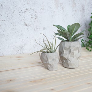 Geometric Skull Concrete Plant Pots, two sizes and multiple colours available image 8