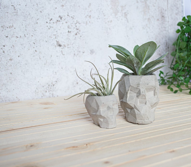 Geometric Skull Concrete Plant Pots, two sizes and multiple colours available image 8