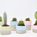 Olly Wilkinson reviewed Concrete Plant Pot || Green Succulent Planter || Indoor Concrete Planter || Cactus Plant Gift || Air Plant Holder