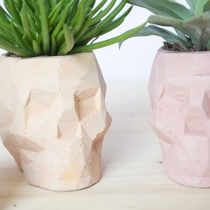 Geometric Skull Concrete Plant Pots, two sizes and multiple colours available image 7