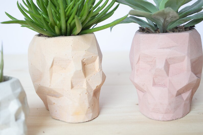 Geometric Skull Concrete Plant Pots, two sizes and multiple colours available image 7