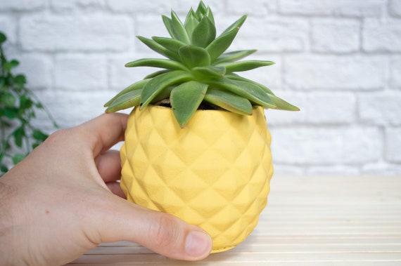 Concrete Pineapple Plant Pot Available in Several Colours. Indoor