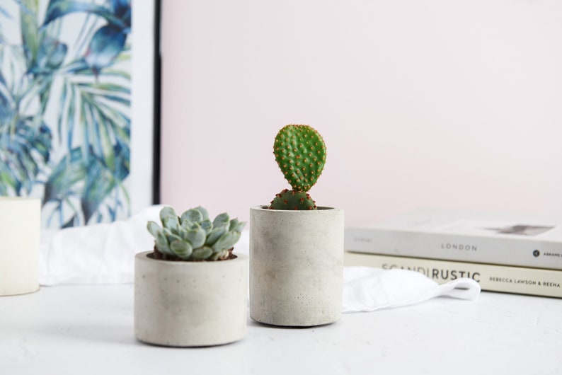 Concrete Plant Pot Indoor Concrete Cactus Plant Pot Succulent Planter Indoor Concrete Planter Cactus Plant Gift Set of both sizes