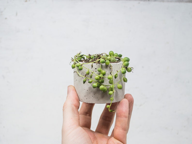 Concrete Plant Pot Indoor Concrete Cactus Plant Pot Succulent Planter Indoor Concrete Planter Cactus Plant Gift image 4