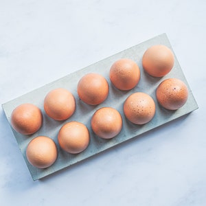 Puede incluir: Un porta huevos de hormig&oacute;n gris con diez huevos marrones dentro.