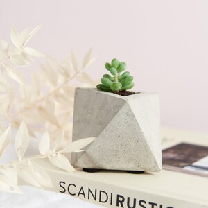 Geometric Triangular indoor Concrete Air Plant Holder Holder. Available in several concrete colours image 1