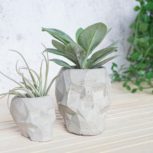 Geometric Skull Concrete Plant Pots, two sizes and multiple colours available image 6