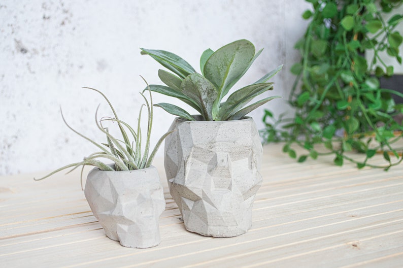 Geometric Skull Concrete Plant Pots, two sizes and multiple colours available image 6