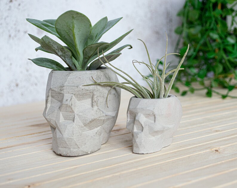 Geometric Skull Concrete Plant Pots, two sizes and multiple colours available image 3
