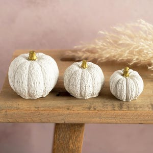 Puede incluir: Tres calabazas decorativas blancas con tallos dorados de varios tamaños están dispuestas sobre una superficie de madera rústica. Las calabazas tienen un aspecto texturizado y tejido. El fondo es rosa suave con hierba ornamental seca.