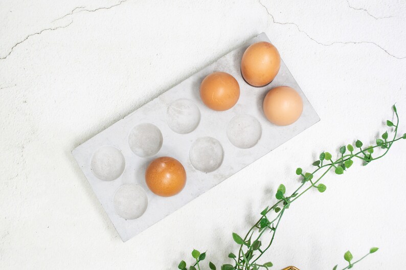 Puede incluir: Un porta huevos de hormig&oacute;n blanco con seis compartimentos, cuatro de los cuales contienen huevos marrones. El porta huevos est&aacute; sobre una superficie blanca con una vid verde.
