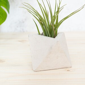 Geometric Triangular indoor Concrete Air Plant Holder Holder. Available in several concrete colours image 4