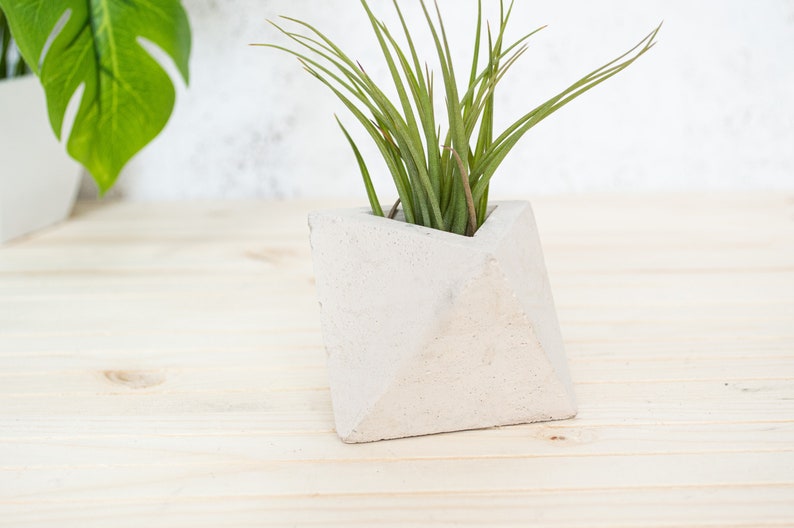 Geometric Triangular indoor Concrete Air Plant Holder Holder. Available in several concrete colours image 4