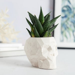 Geometric Skull Concrete Plant Pots, two sizes and multiple colours available image 2