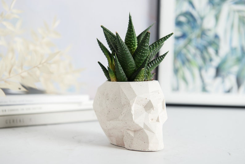 Geometric Skull Concrete Plant Pots, two sizes and multiple colours available image 2