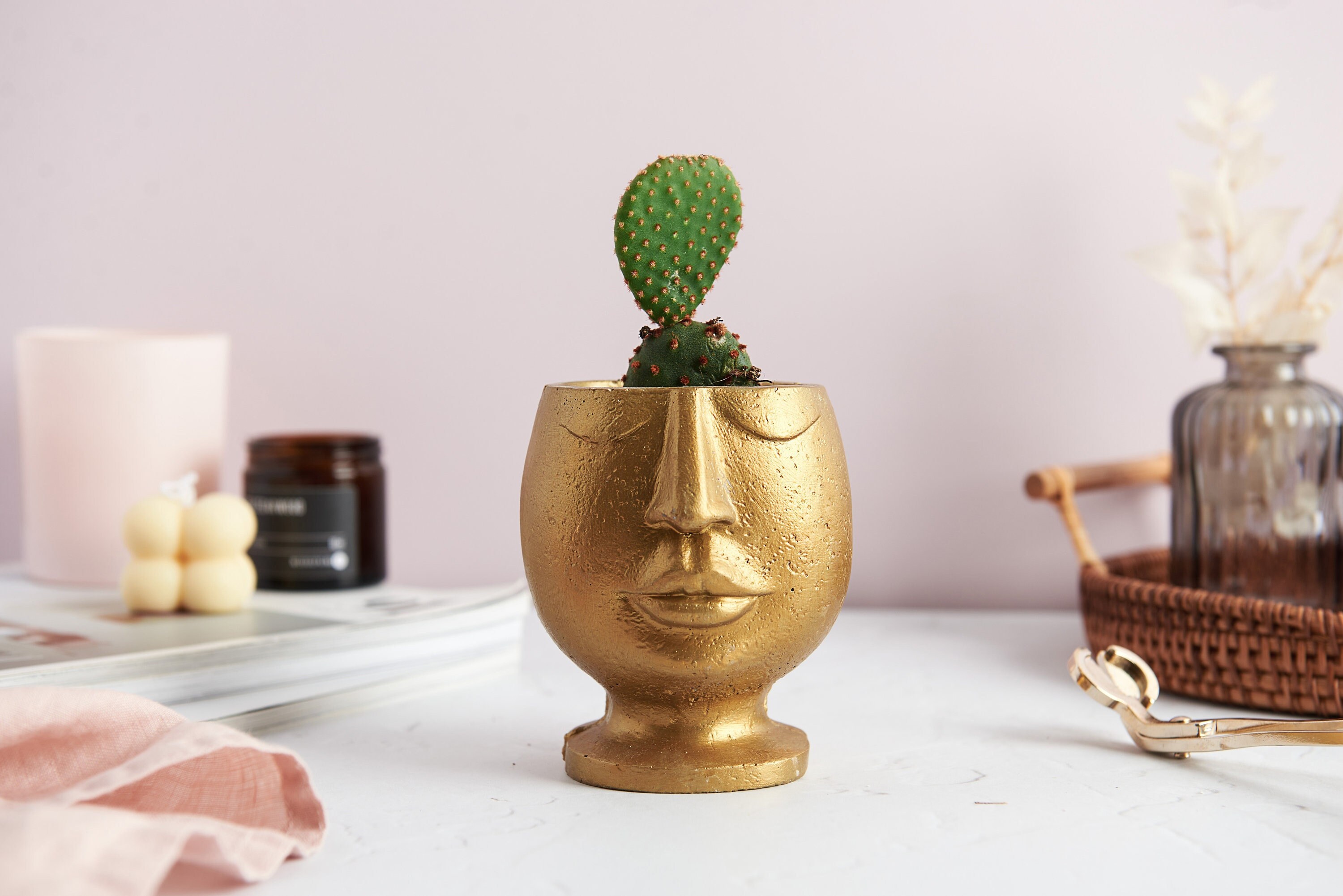 Pot De Plantes Nordique