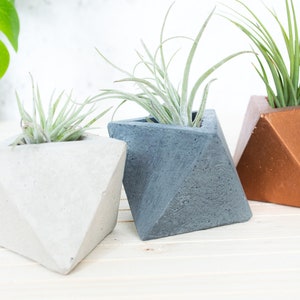 Geometric Triangular indoor Concrete Air Plant Holder Holder. Available in several concrete colours image 7