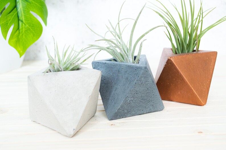 Geometric Triangular indoor Concrete Air Plant Holder Holder. Available in several concrete colours image 7