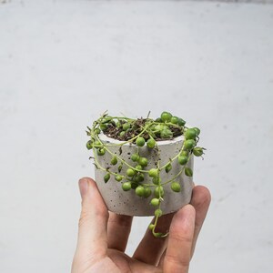 Concrete Plant Pot Indoor Concrete Cactus Plant Pot Succulent Planter Indoor Concrete Planter Cactus Plant Gift image 8