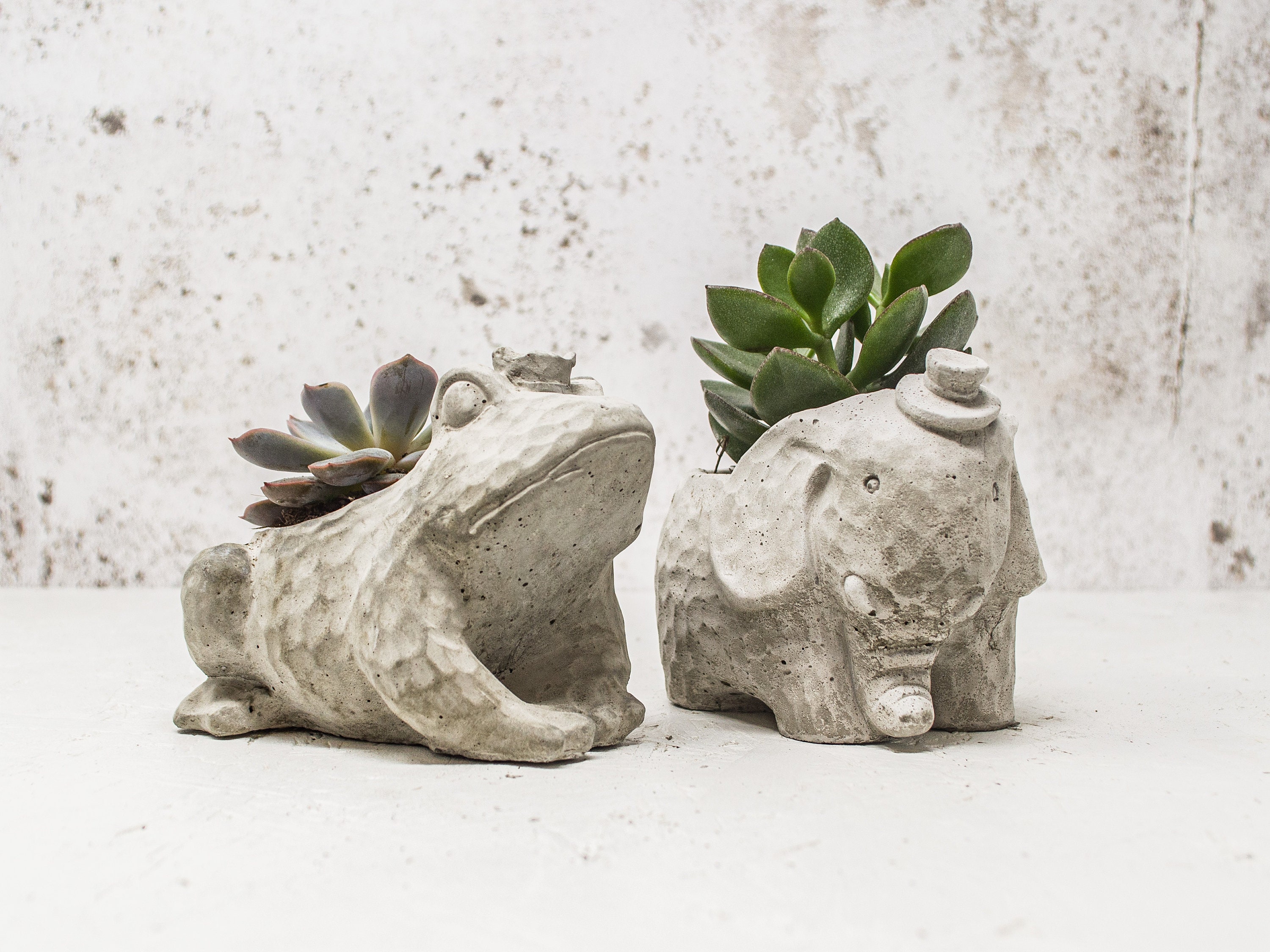 Concrete Elephant Plant Pot Elephant Succulent Planter Etsy