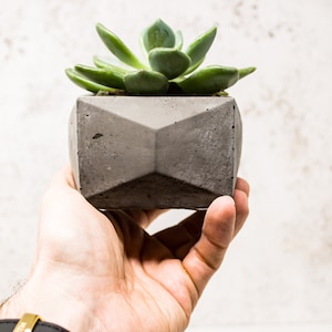 Minimale betonnen plantenpot || Vetplantenbak || Betonnen plantenbak voor binnen || Cactusplant cadeau || Housewarmingcadeau || Houder voor luchtplanten